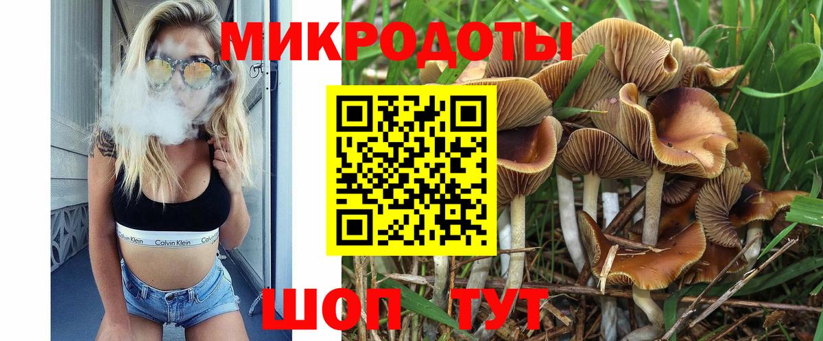 Тавда  Галлюциногенные грибы мухоморы  Вход с VPN  купить наркотик  Псилоцибиновые грибы ЛСД 
