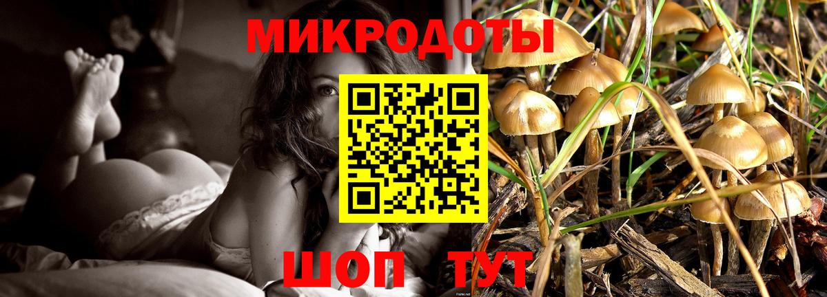 Псилоцибиновые грибы ЛСД Тавда